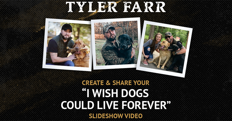 Tyler Farr I Wish Dogs Could Live Forever Tyler Farr - I Wish Dogs Could Live Forever